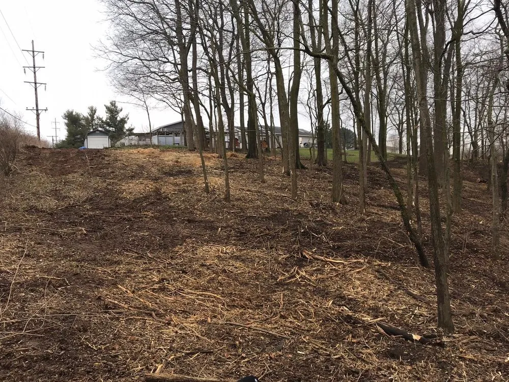 Reliable outdoor landscaping in West Liberty, OH by Tatem's Land Care