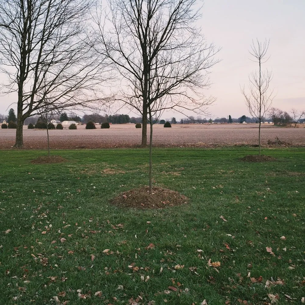 Trusted residential landscaping in West Liberty, OH by Tatem's Land Care