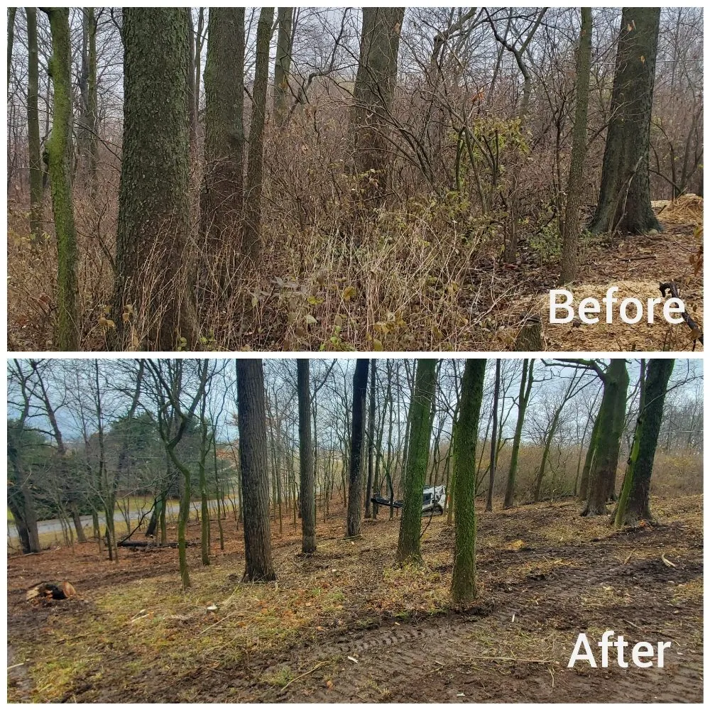 Local lawn mowing service in West Liberty, OH by Tatem's Land Care