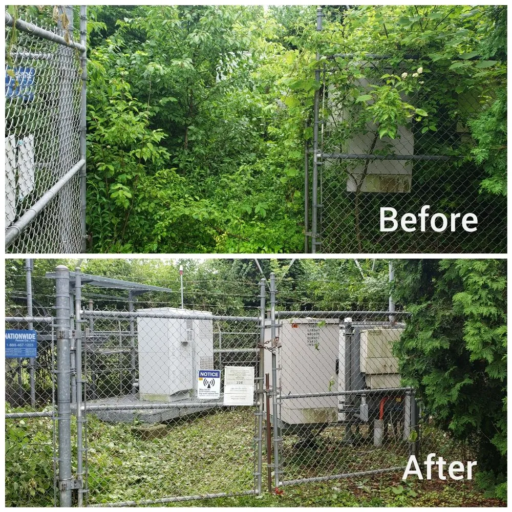 Affordable yard cleanup service in West Liberty, OH - Tatem's Land Care