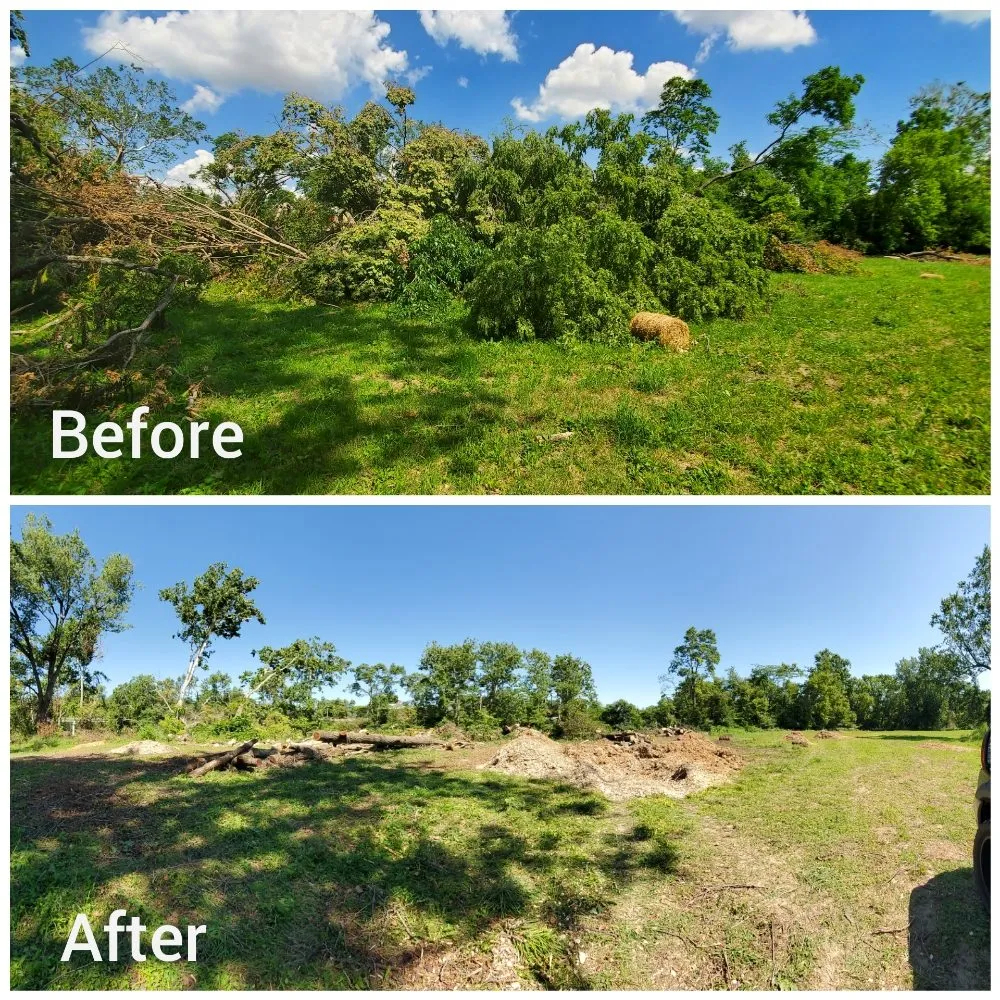 Reliable yard cleanup service in West Liberty, OH - Tatem's Land Care