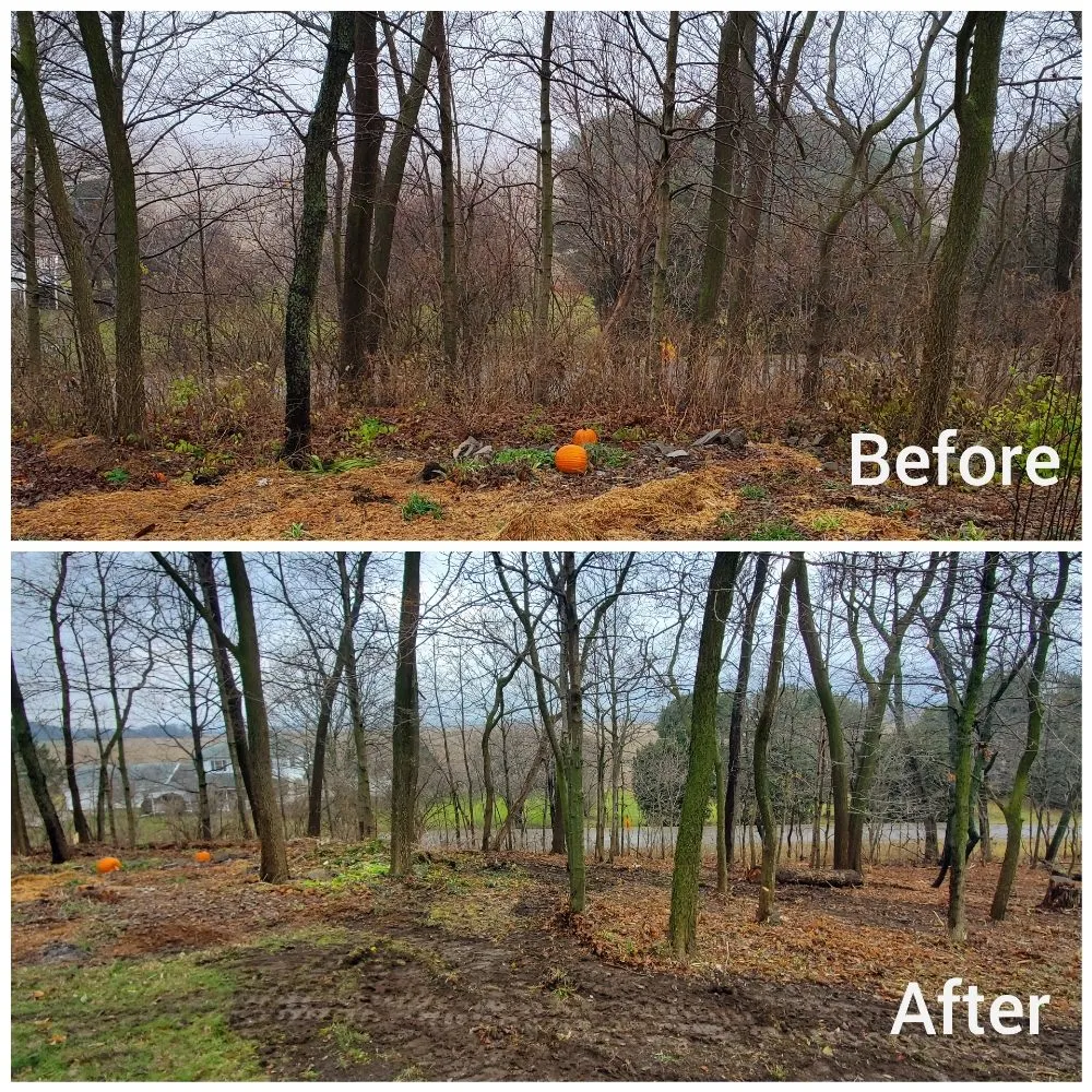 Top-rated garden landscaping near you across West Liberty, OH - Tatem's Land Care