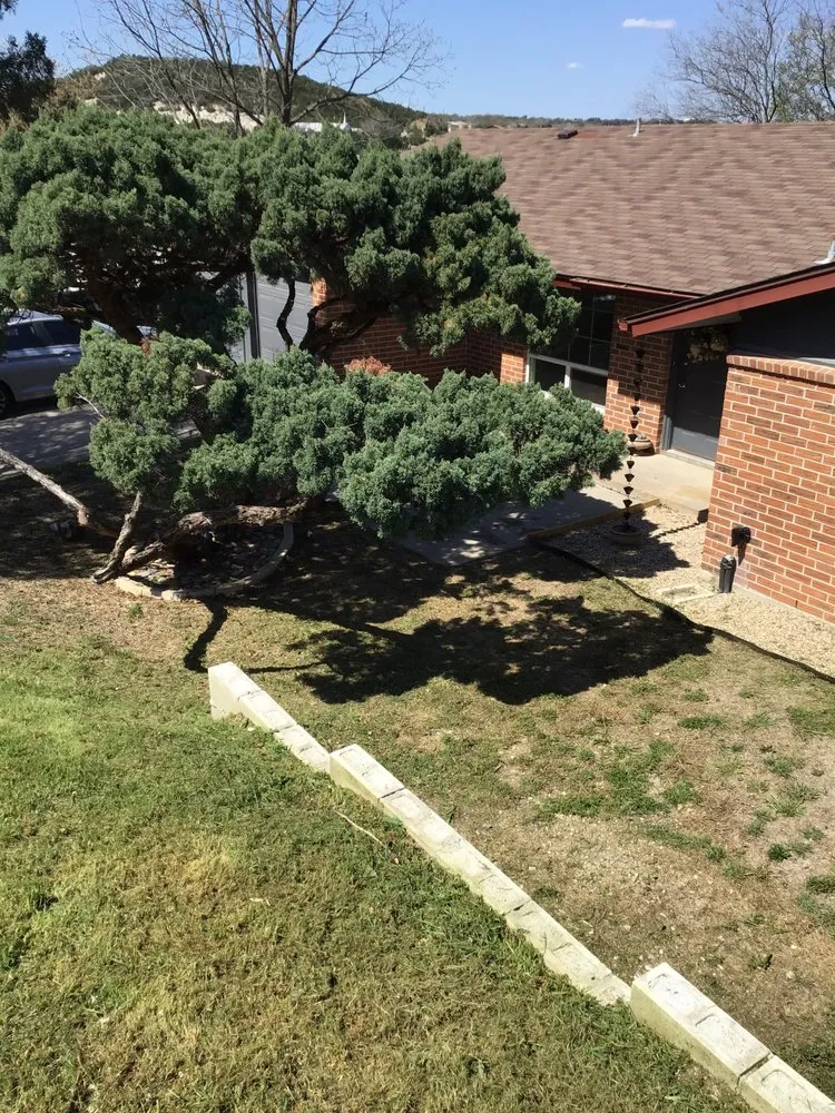 Top-rated landscape installation for homes across Killeen, TX - Tate’s Family Services