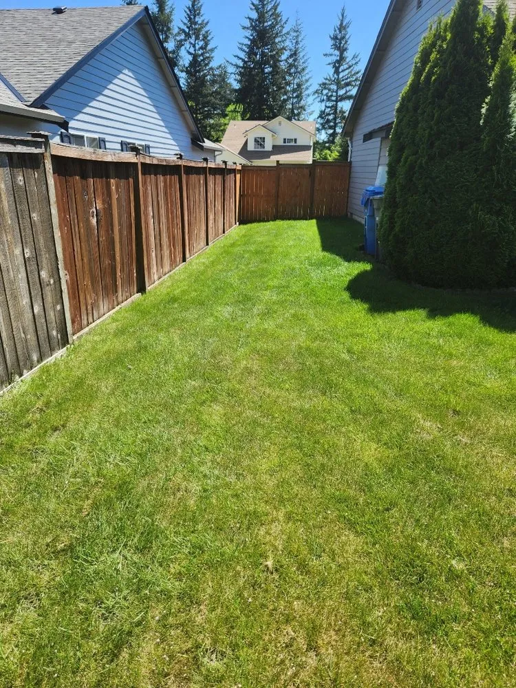 Reliable landscaping services for residential properties in Bonney Lake, WA by Tates Labor