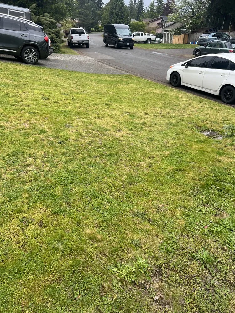 Local yard cleanup service experts serving Bonney Lake, WA - Tates Labor