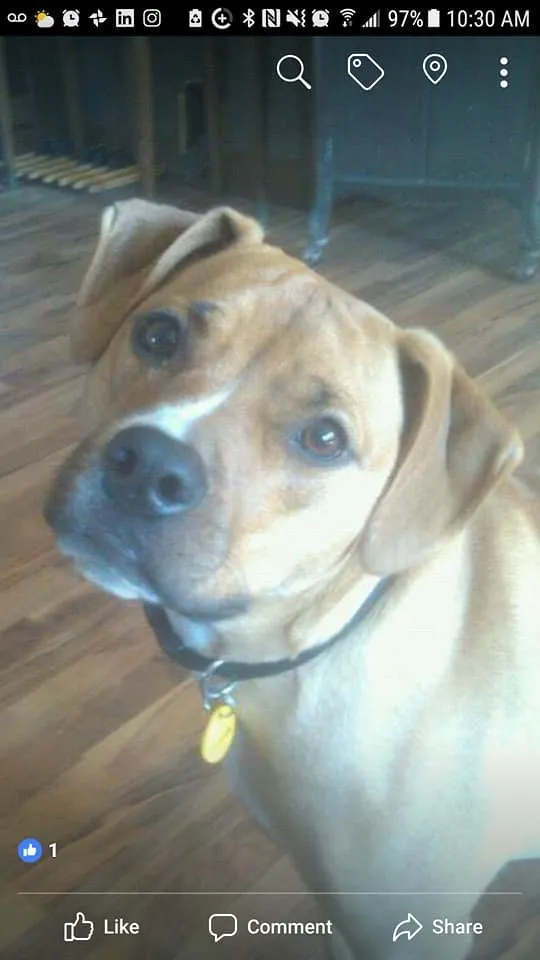 Local yard maintenance experts serving North Tonawanda, NY - Tate's Lawn Care and Snow Plowing