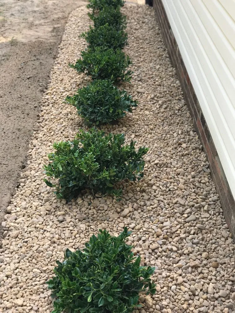 Local landscape installation in New Kent, VA by Tate's Lawn Care