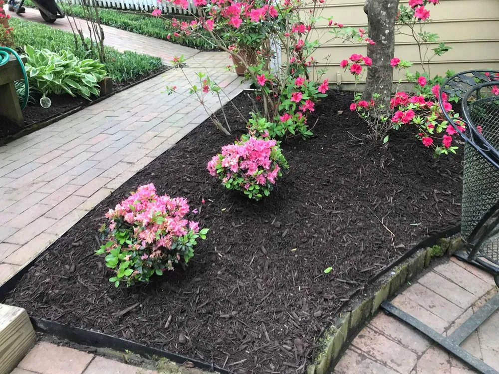 Reliable yard cleanup service experts serving New Kent, VA - Tate's Lawn Care