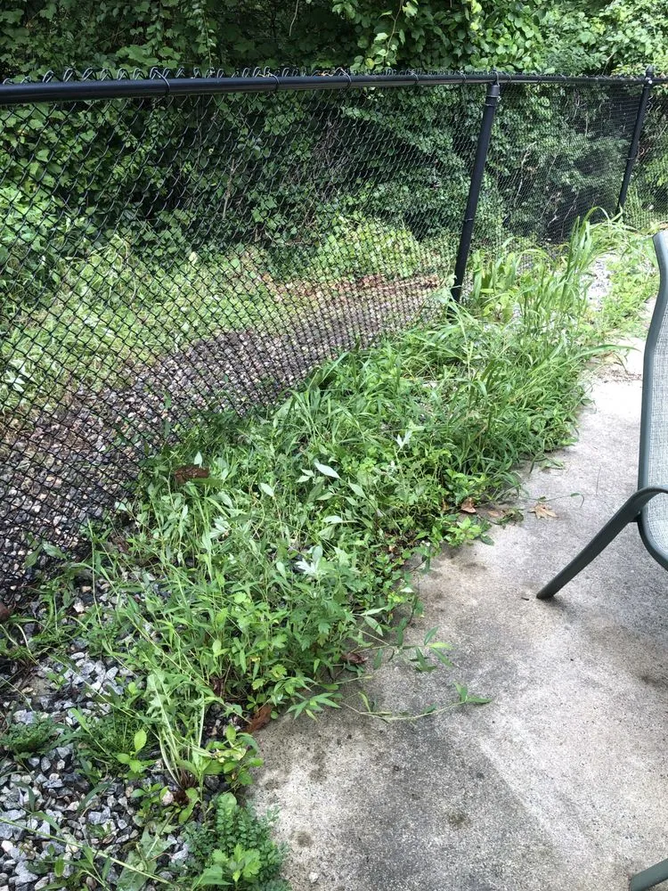Trusted residential landscaping experts serving Ivoryton, CT - Tate's Property Care