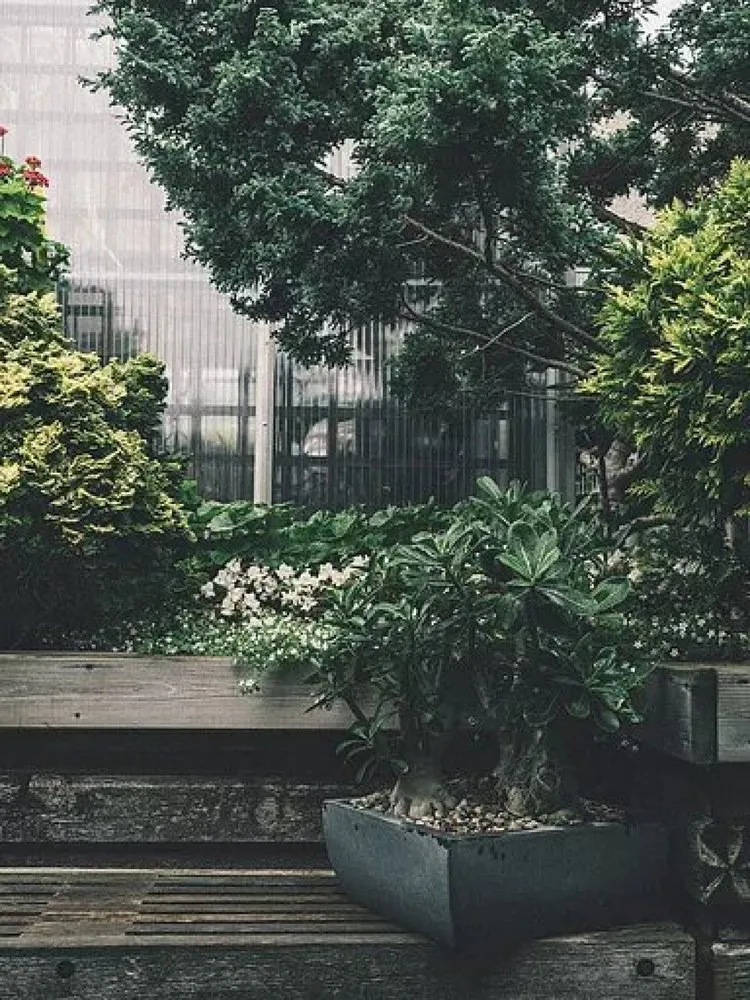 Trusted garden landscaping experts serving Ivoryton, CT - Tate's Property Care
