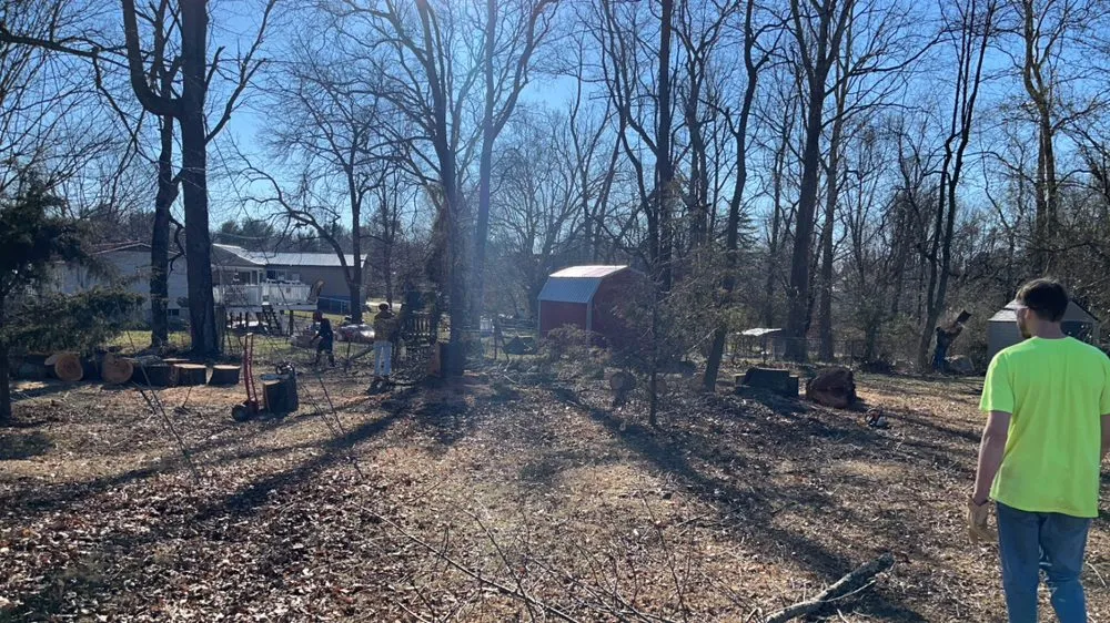 Affordable landscaping services for outdoor upgrades in Bristol, VA by Tate's Tree Service