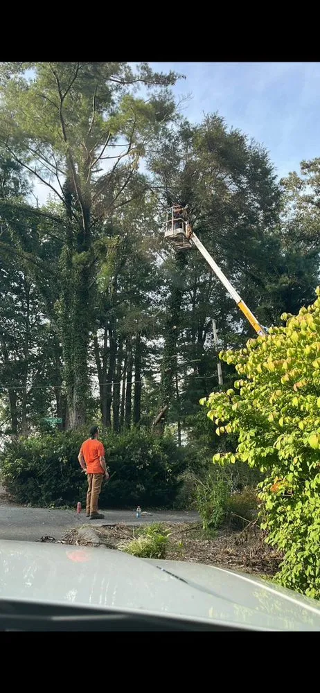 Reliable landscape installation for outdoor upgrades across Bristol, VA - Tate's Tree Service