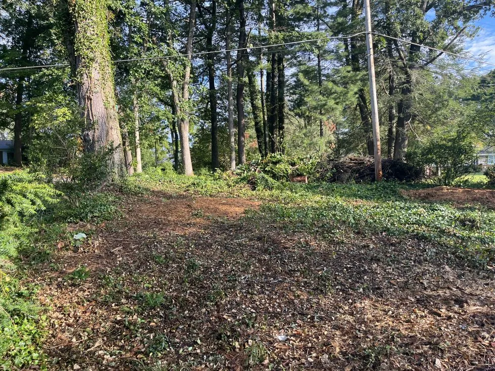 Custom landscape design in Bristol, VA by Tate's Tree Service