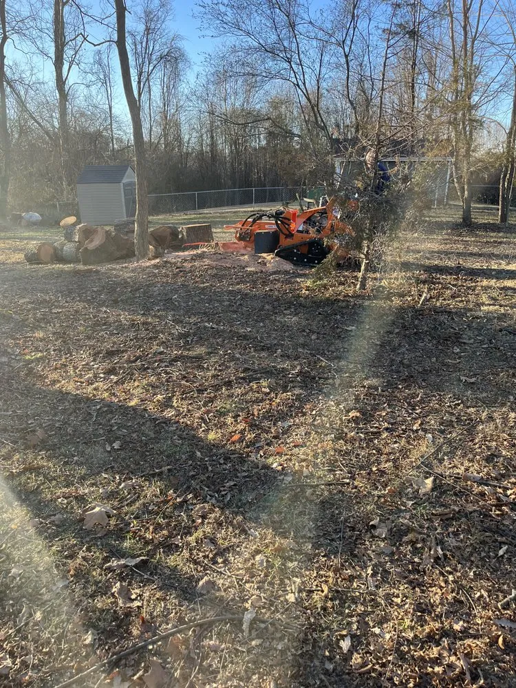 Affordable yard maintenance near you across Bristol, VA - Tate's Tree Service
