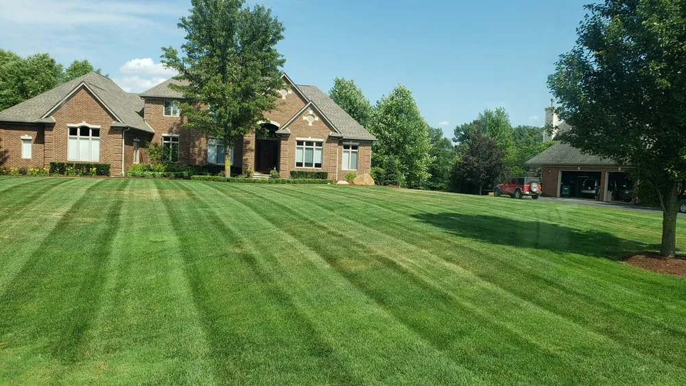 Reliable yard cleanup service experts serving Richmond, MI - Tatrabuilt