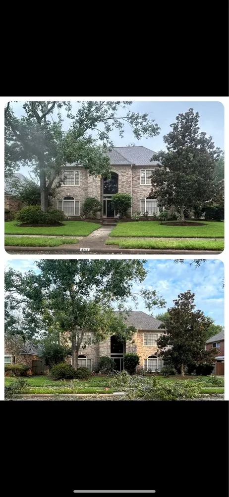 Local landscape installation in Mont Belvieu, TX - Tatum Landworks