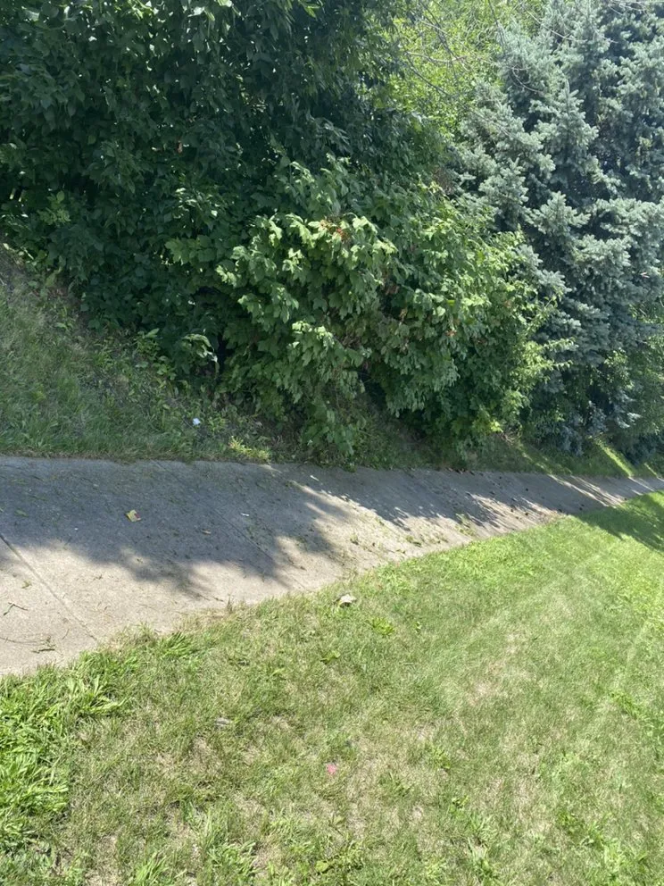 Expert yard maintenance with custom design in Joliet, IL by Tatum n Sons Lawn Care