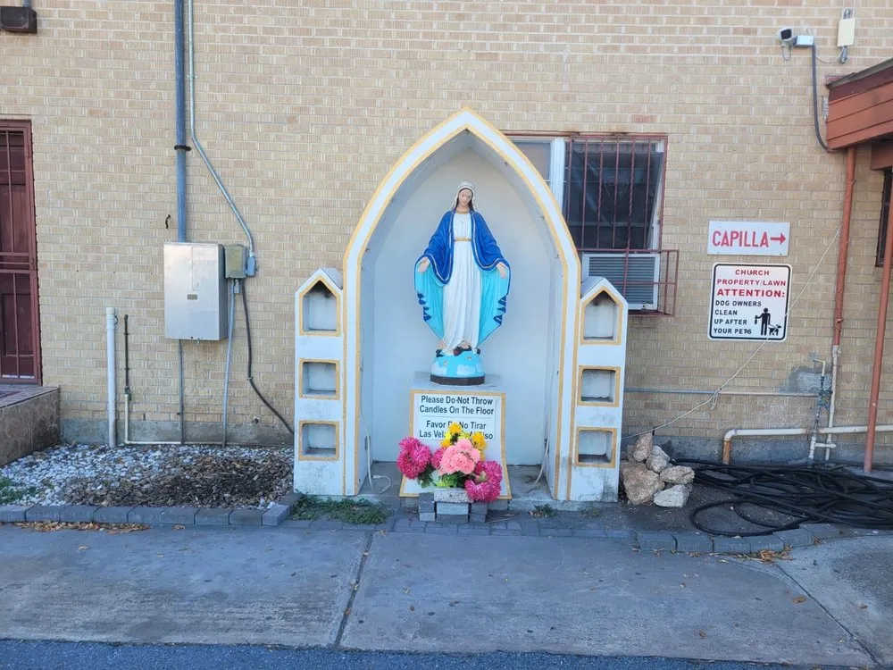 Professional landscape installation for homes across Alamo, TX - Tau Landscaping