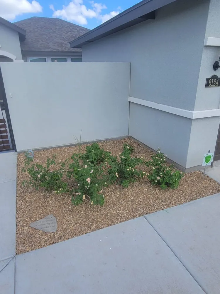 Custom landscape design for beautiful yards in Alamo, TX by Tau Landscaping