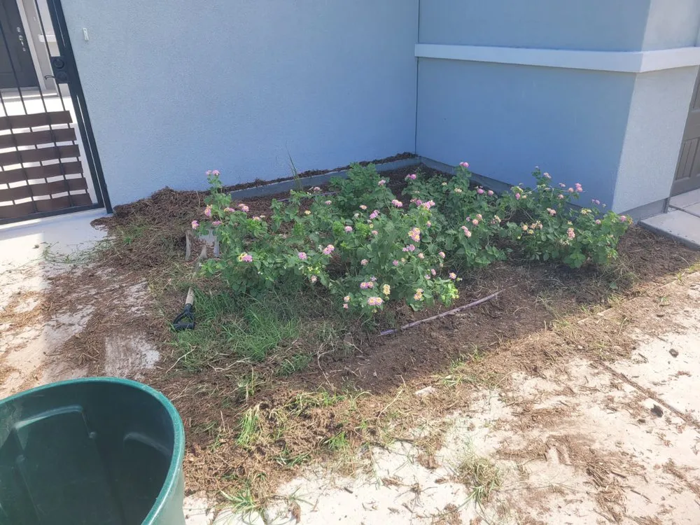 Reliable garden landscaping in Alamo, TX by Tau Landscaping