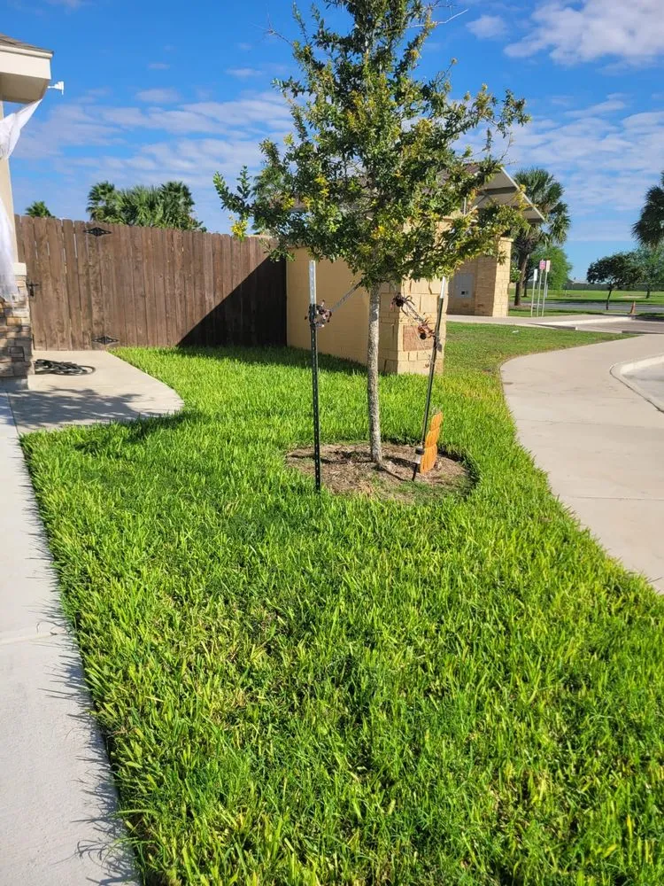 Local landscape design in Alamo, TX by Tau Landscaping