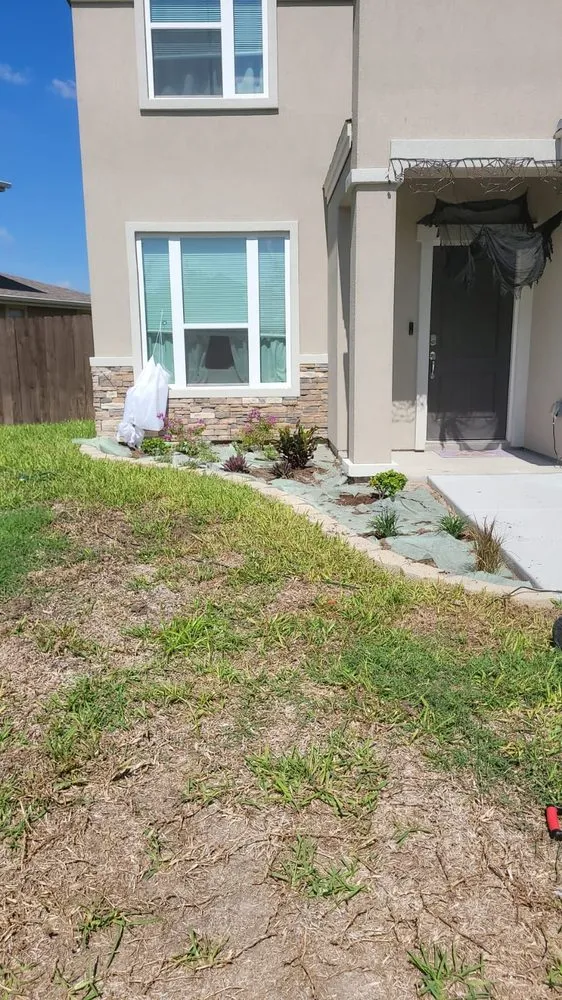 Expert yard cleanup service experts serving Alamo, TX - Tau Landscaping