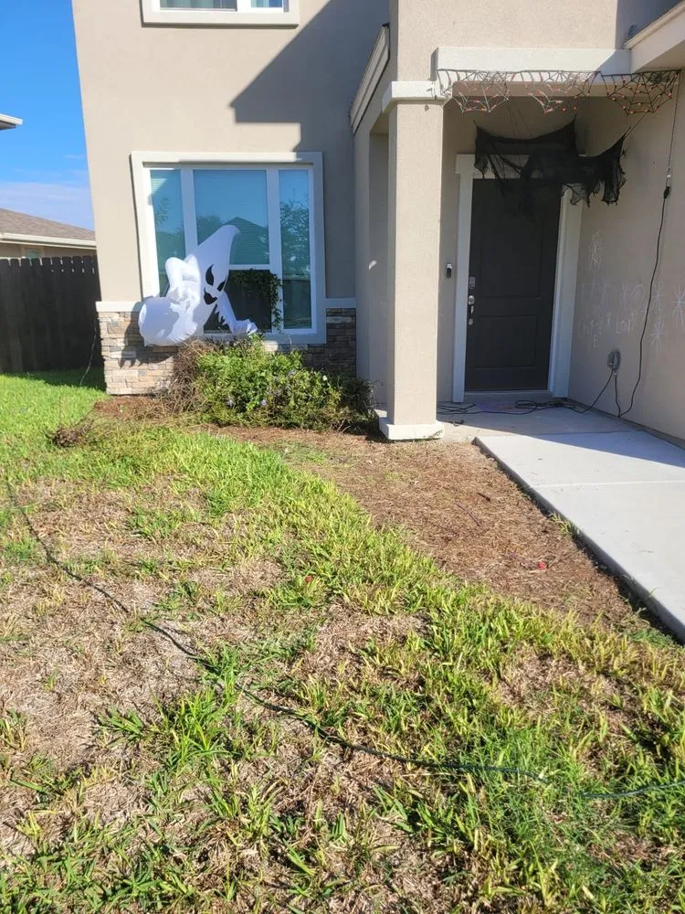 Reliable yard maintenance in Alamo, TX - Tau Landscaping