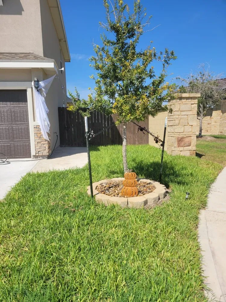 Local yard cleanup service near you in Alamo, TX by Tau Landscaping