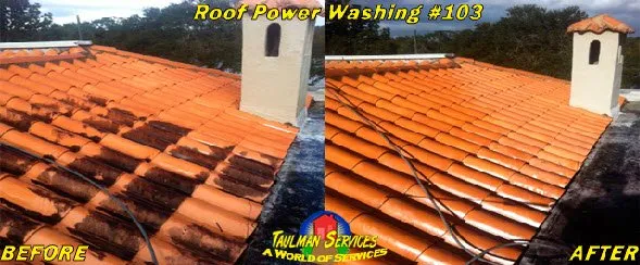 Affordable landscaping services for year-round maintenance across Orlando, FL - Taulman Services