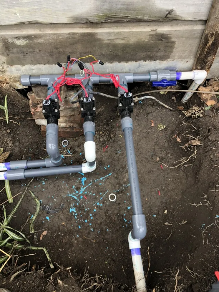 Affordable yard cleanup service in Berkeley, CA by Taurino Gutierrez