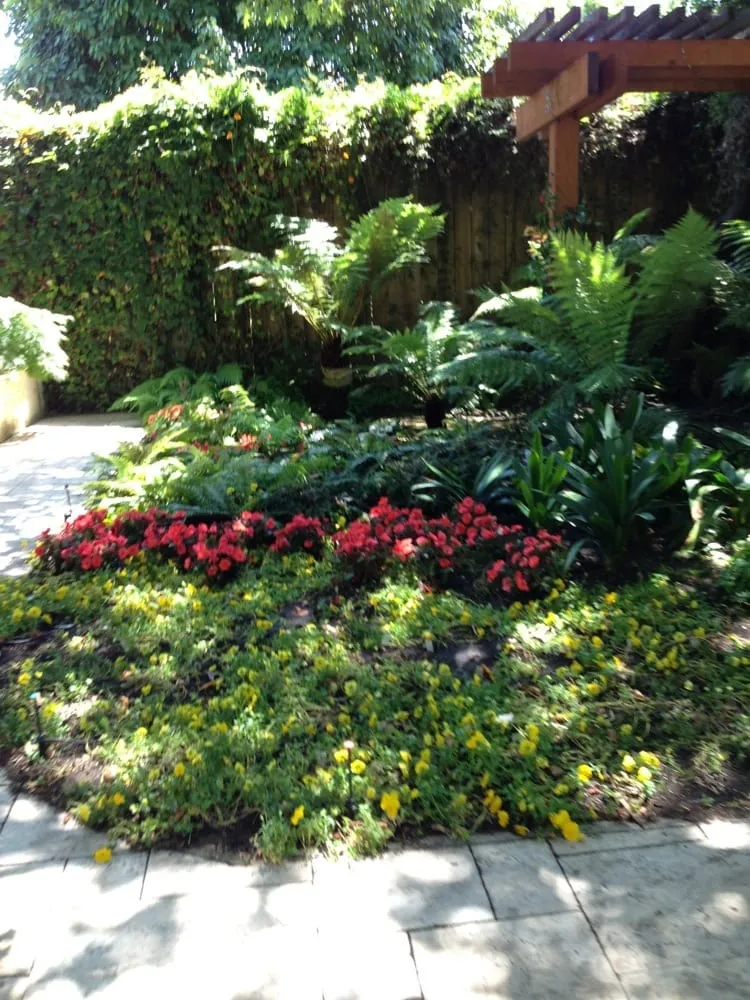 Expert lawn mowing service for year-round maintenance across Berkeley, CA - Taurino Gutierrez