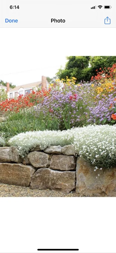 Affordable landscape design in Berkeley, CA by Taurino Gutierrez