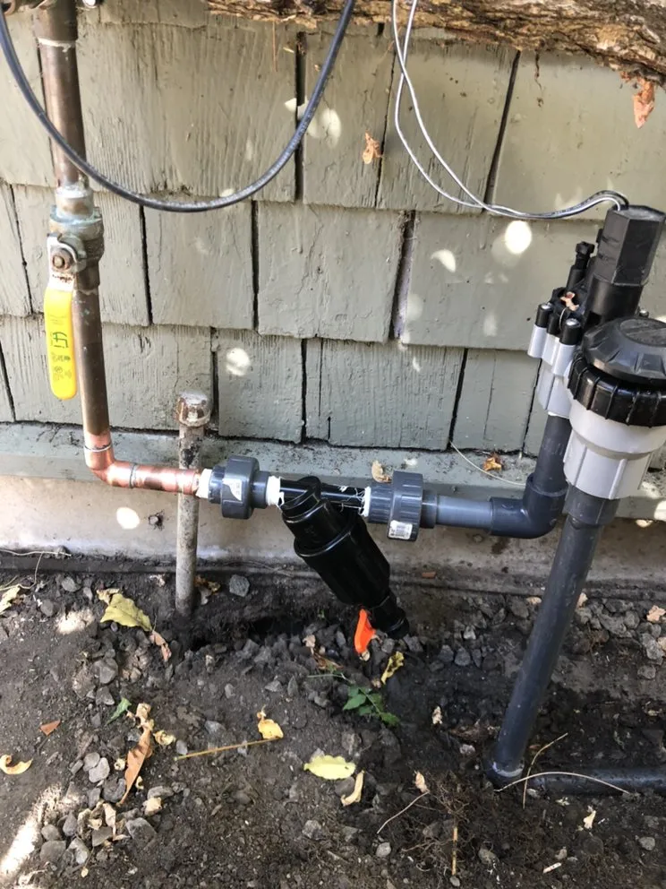 Reliable lawn care service with custom design across Berkeley, CA - Taurino Gutierrez