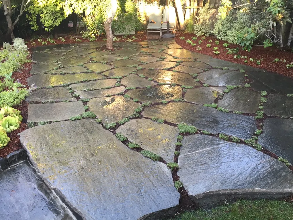 Reliable landscape installation for year-round maintenance across Berkeley, CA - Taurino Gutierrez