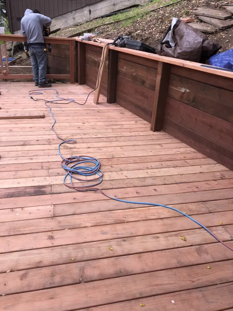 Professional yard cleanup service for residential properties in Berkeley, CA by Taurino Gutierrez