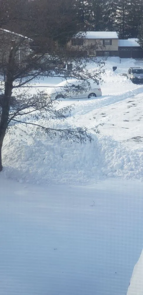 Local residential landscaping for beautiful yards in Indianapolis, IN by Taurus Property Works