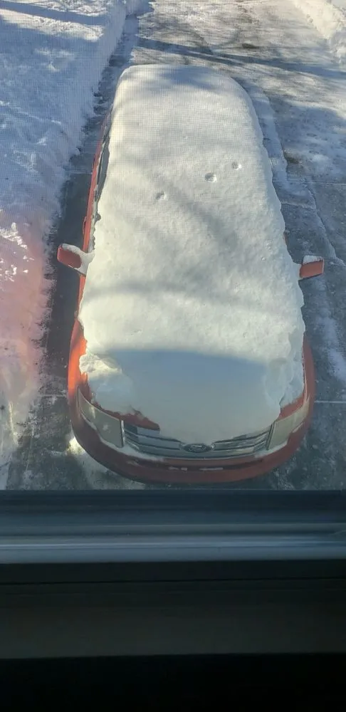 Local yard maintenance experts serving Indianapolis, IN - Taurus Property Works