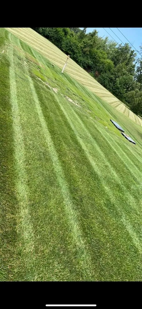 Top-rated landscaping services in Indianapolis, IN by Taurus Property Works