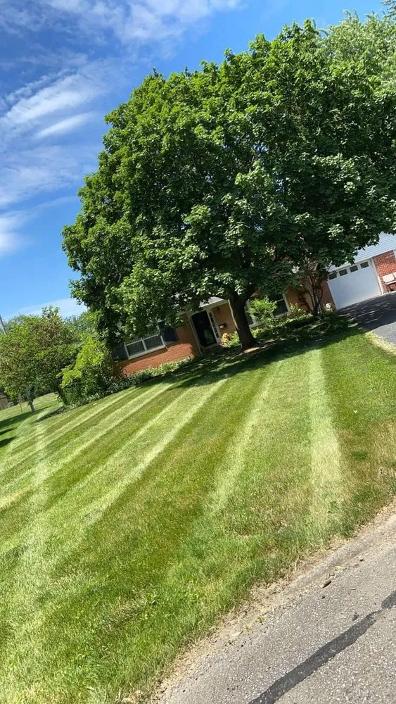 Reliable landscaping services in Indianapolis, IN - Taurus Property Works