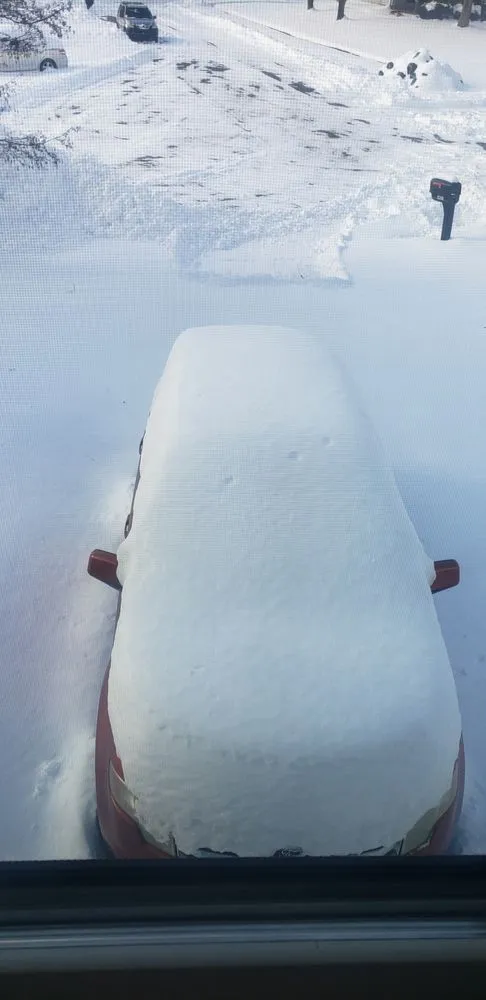 Trusted lawn care service in Indianapolis, IN by Taurus Property Works