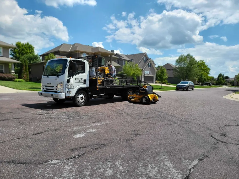 Professional landscaping services experts serving Overland Park, KS - Taussig