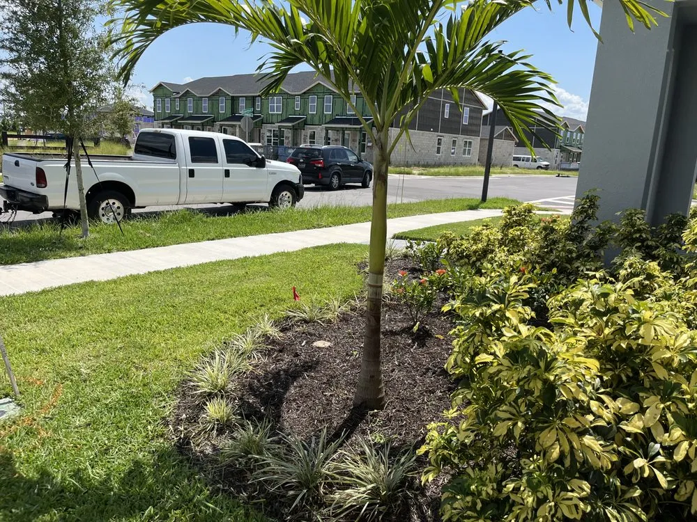 Local lawn mowing service experts serving Orlando, FL - Tavares Landscape Serivces