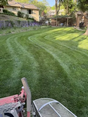 Tavares Landscaping And Concrete