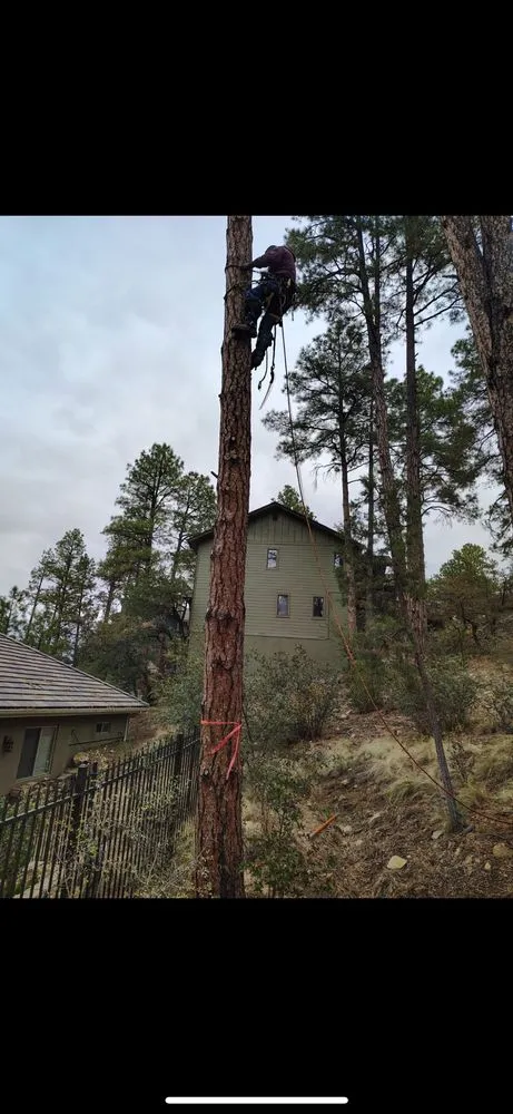 Reliable residential landscaping in Prescott Valley, AZ - Tavira’s Landscaping