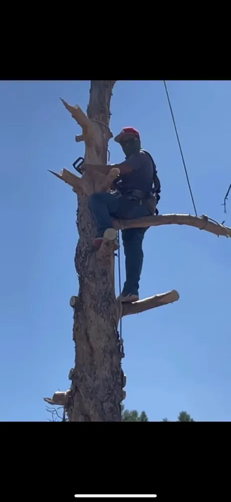 Custom garden landscaping in Prescott Valley, AZ - Tavira’s Landscaping