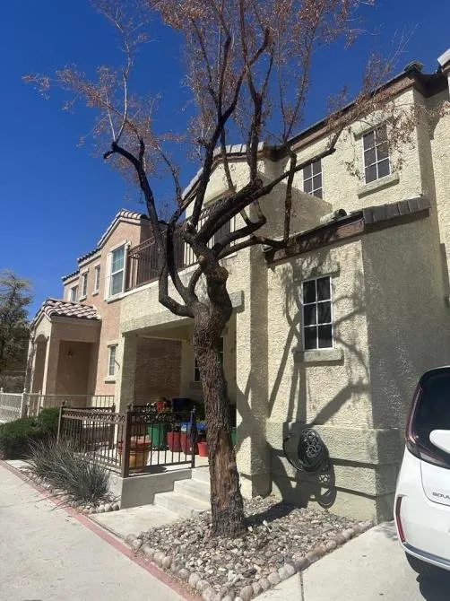 Affordable yard cleanup service in North Las Vegas, NV by Tavo Landscaping