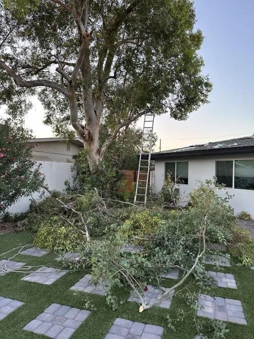 Expert garden landscaping in North Las Vegas, NV - Tavo Landscaping