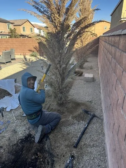 Custom landscape installation for year-round maintenance in North Las Vegas, NV by Tavo Landscaping