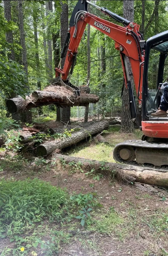 Expert yard maintenance in Clayton, NC - Tavo's Landscaping