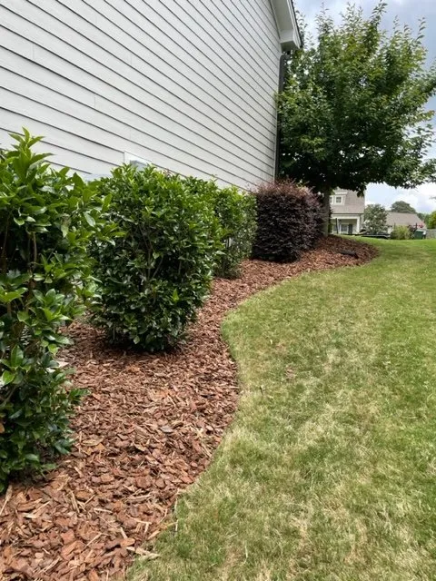 Reliable yard cleanup service experts serving Clayton, NC - Tavo's Landscaping